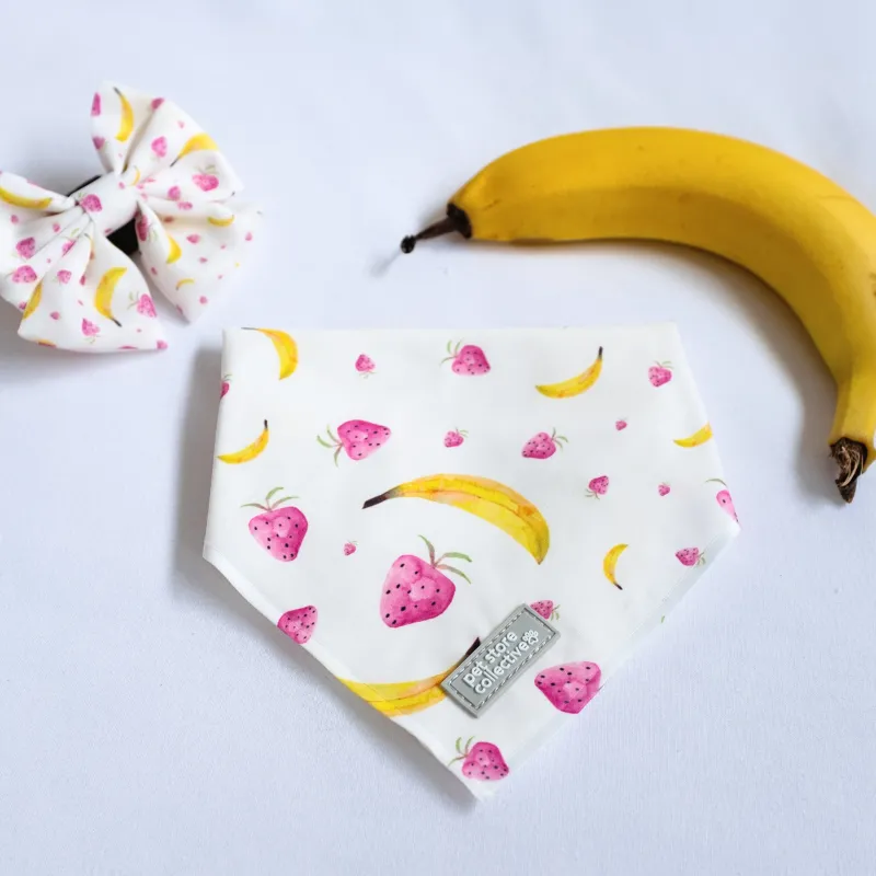 Tropical Fruit Bandana & Bow Tie Set for Pets