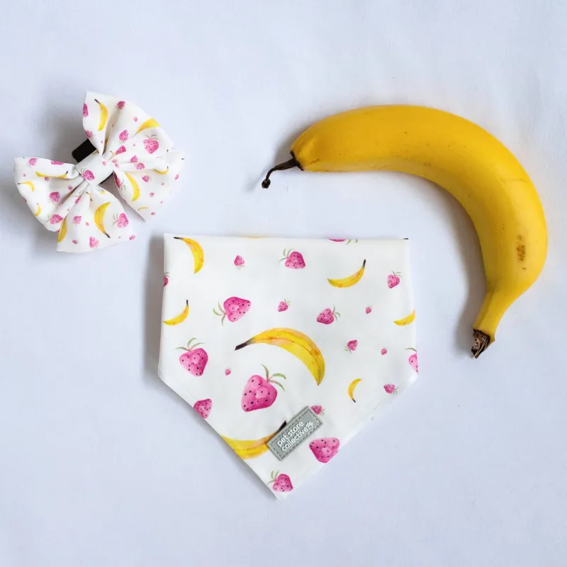 Tropical Fruit Bandana & Bow Tie Set for Pets