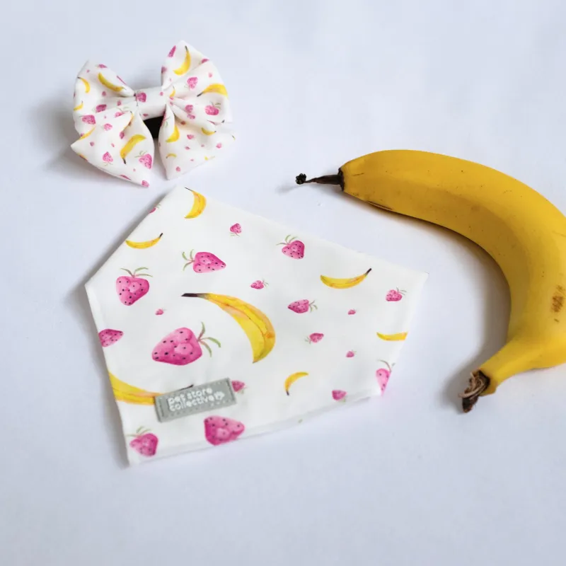 Tropical Fruit Bandana & Bow Tie Set for Pets