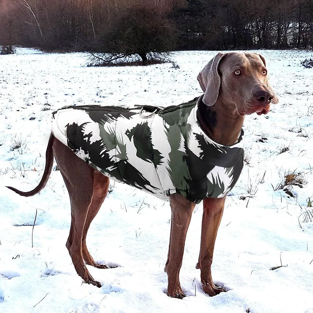Winter Pet Dog Clothes Bulldog Pet Warm Jacket